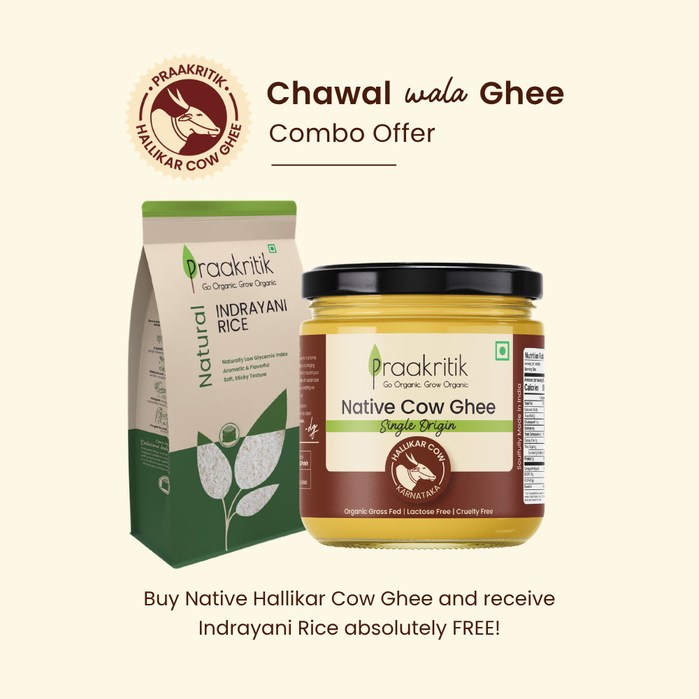 Native Hallikar Cow Ghee - Get Indrayani Rice Free
