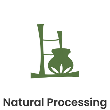 Green logo with a beaker and leaves on a white background, accompanied by the text 'Natural Processing'.