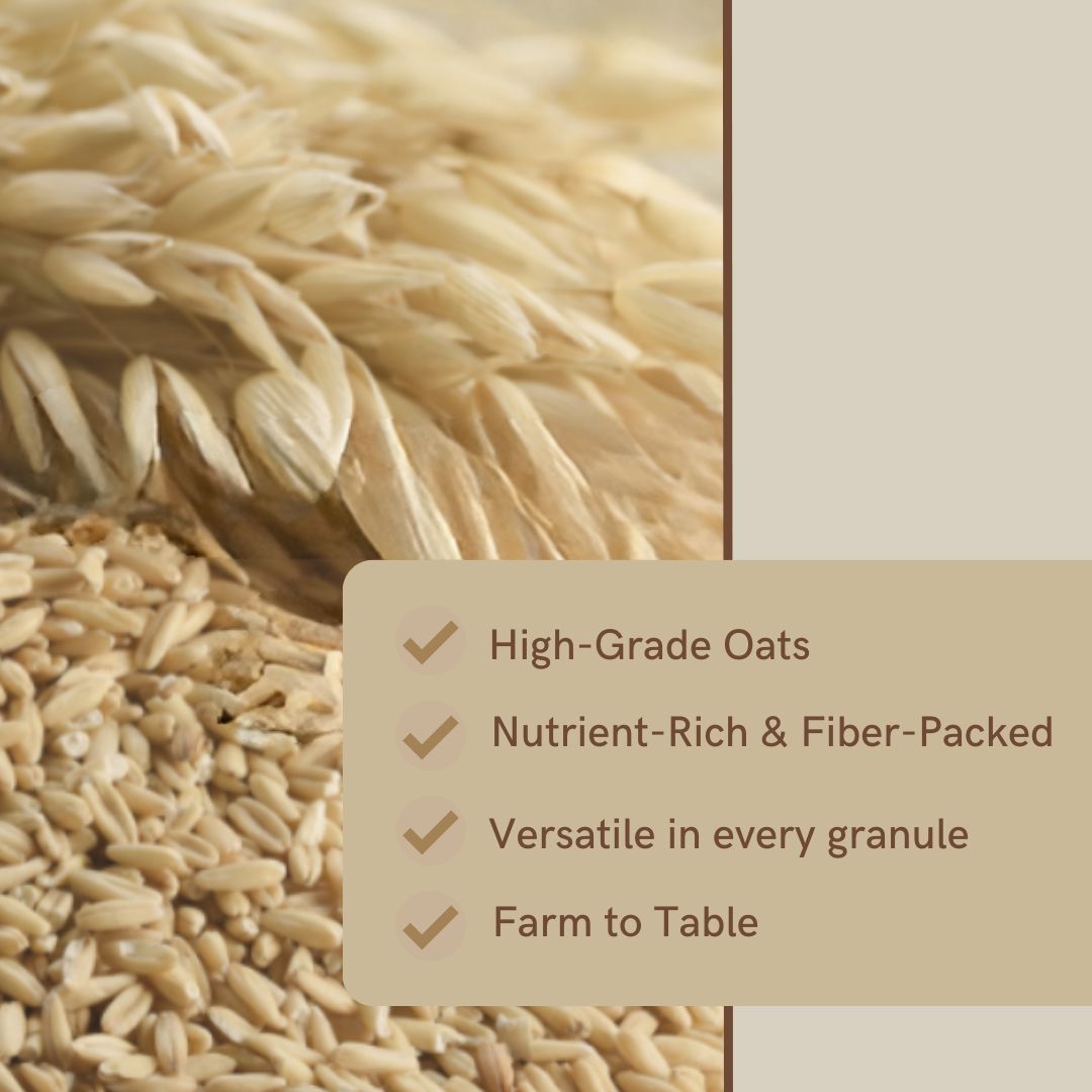 Organic Oats (Jumbo Rolled)