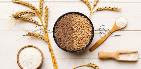 Khapli Atta vs. Modern Wheat: Why the "Original" Grain is Making a Comeback?