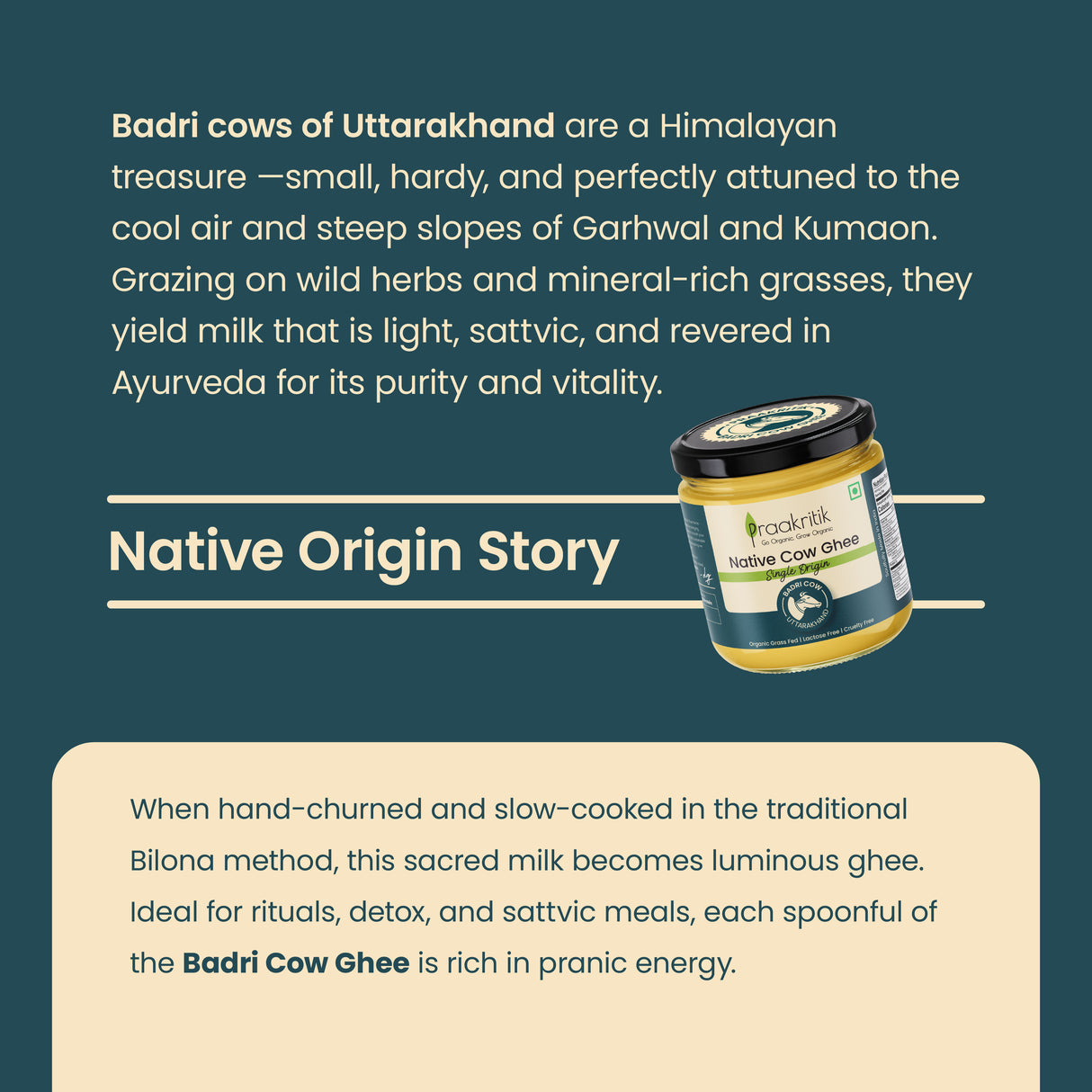 Native Badri Cow Ghee