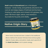 Native Badri Cow Ghee