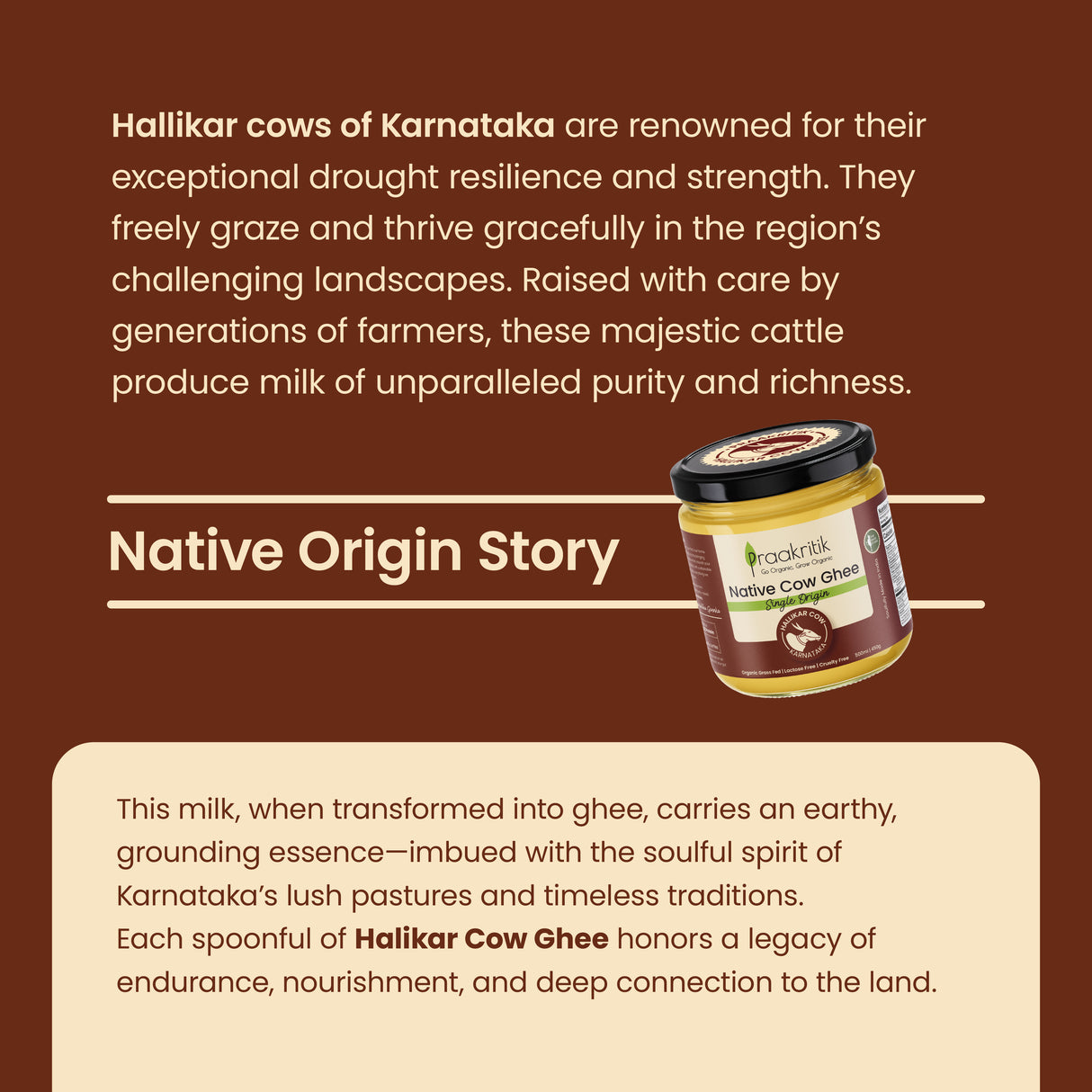 Native Hallikar Cow Ghee