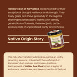 Native Hallikar Cow Ghee