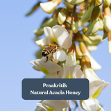 Acacia Honey - Natural