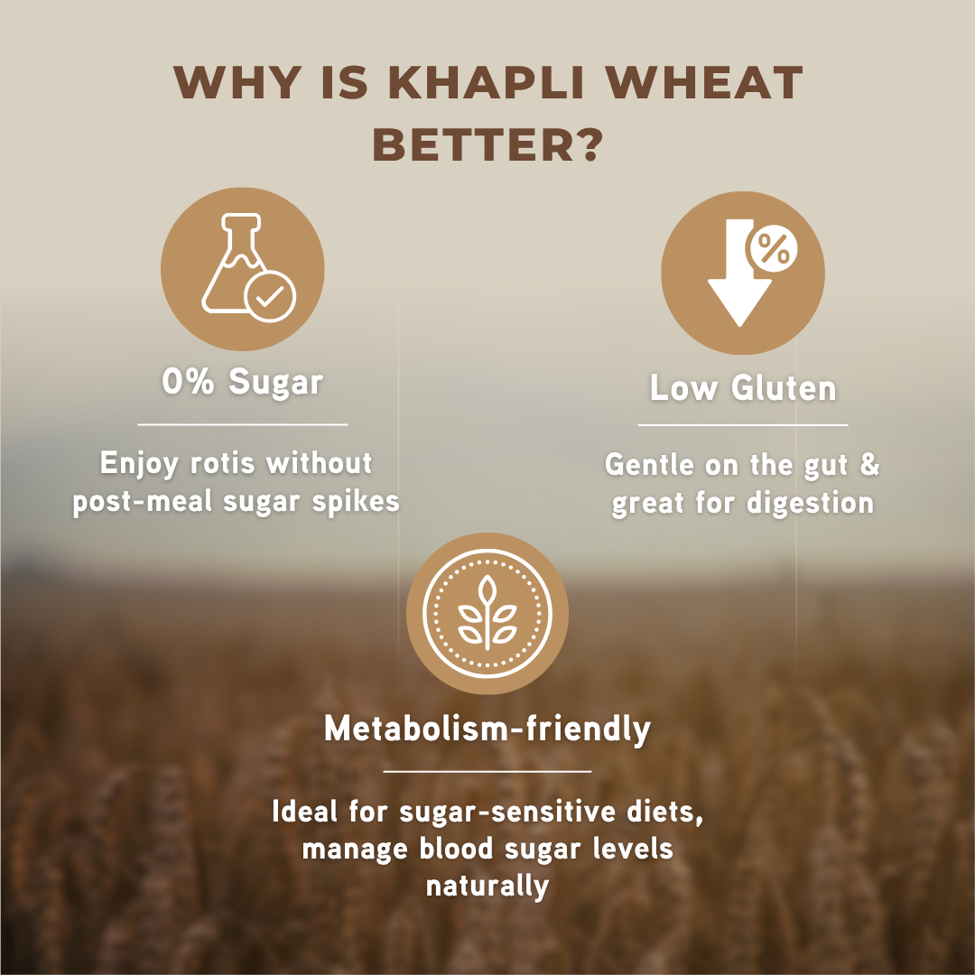 Khapli Atta - Natural