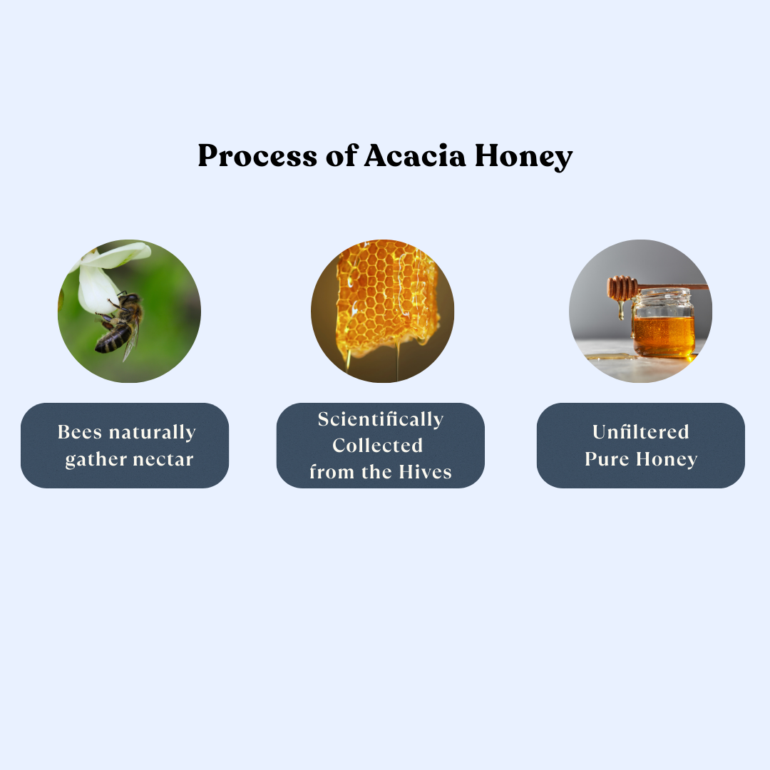 Acacia Honey - Natural