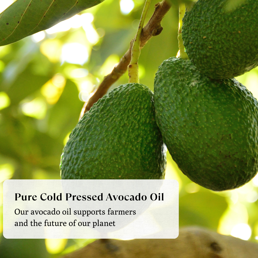 Avocado Oil - Natural