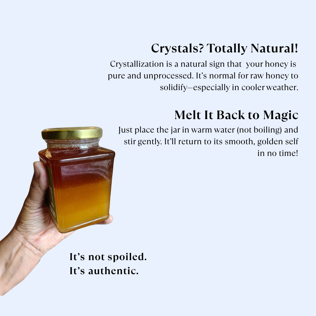 Acacia Honey - Natural