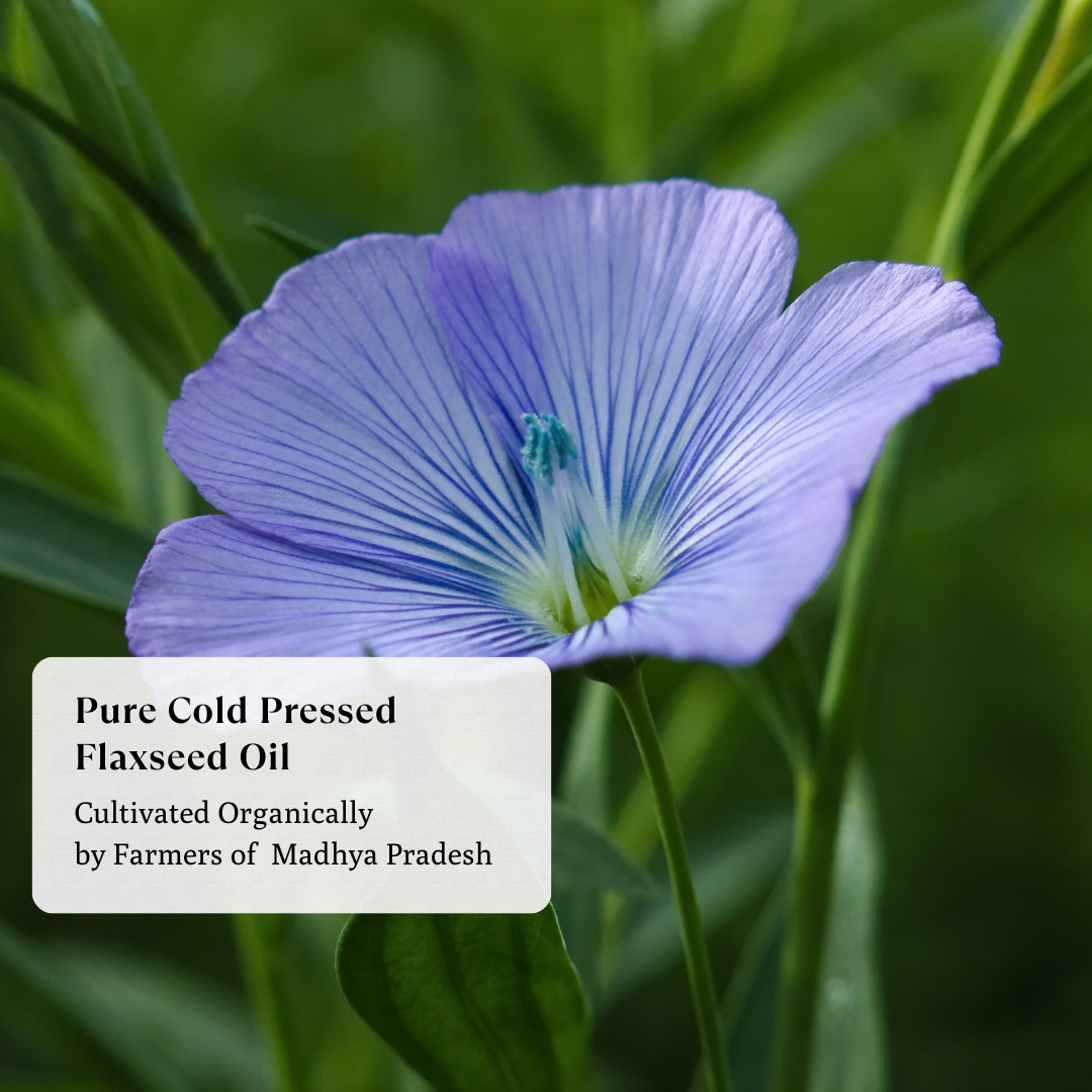Flax Seed Oil - Organic
