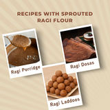 Sprouted Ragi Aata - Organic