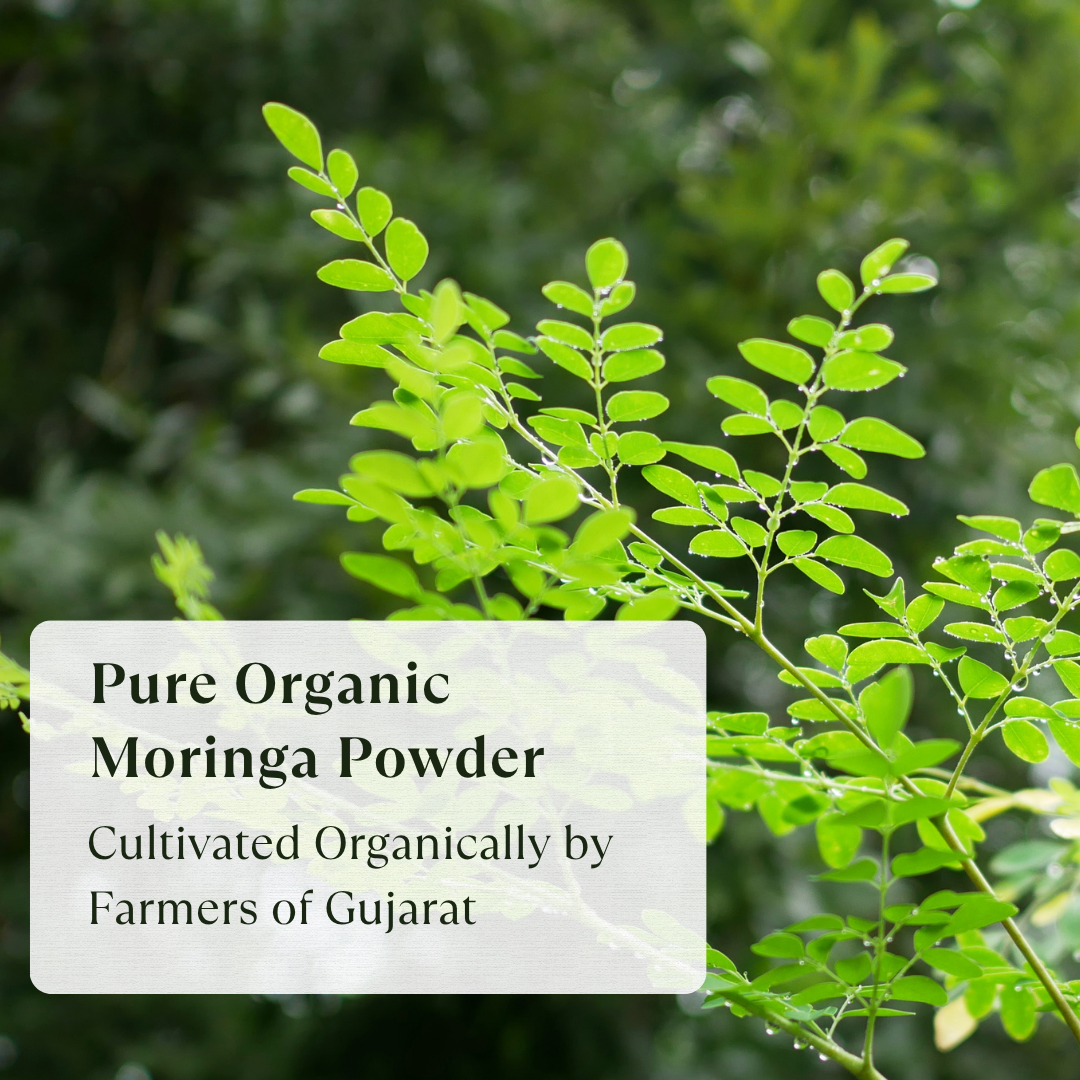 Moringa Powder - Organic