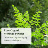 Moringa Powder - Organic