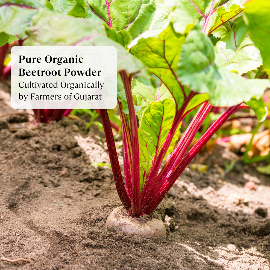 Beetroot Powder - Organic