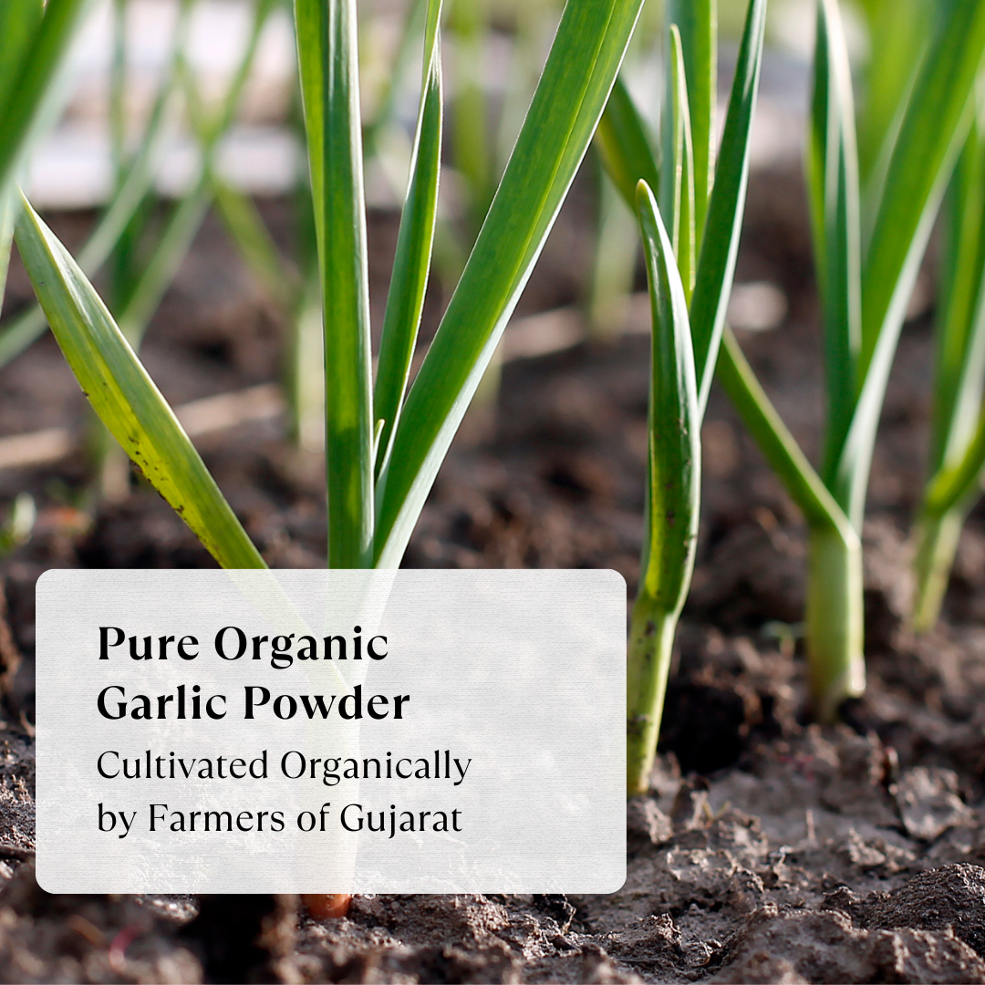 Garlic Powder - Organic