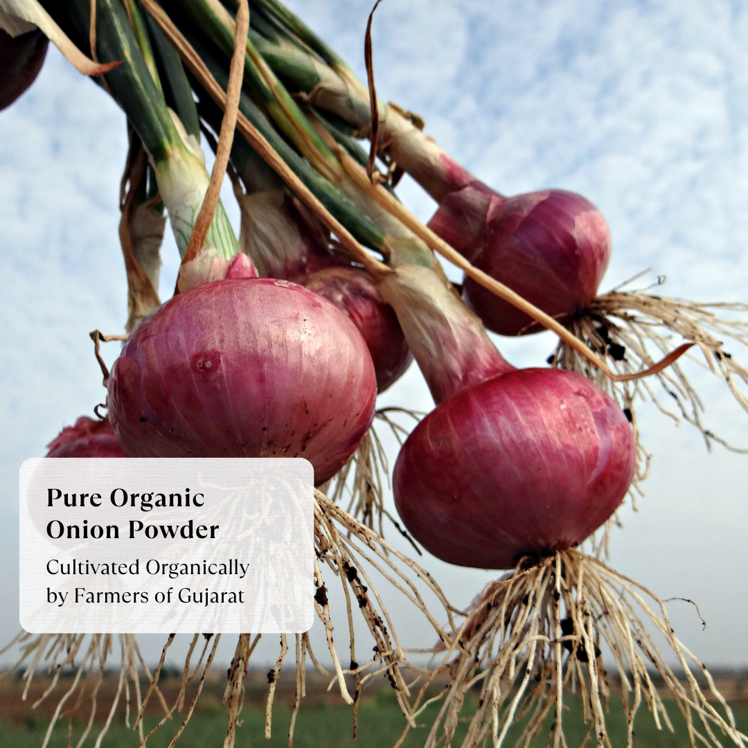 Onion Powder - Organic