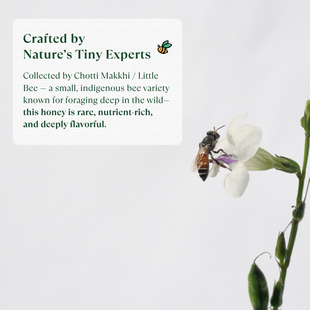 Wild Honey - Organic