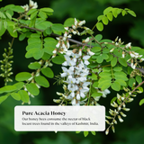 Acacia Honey - Natural