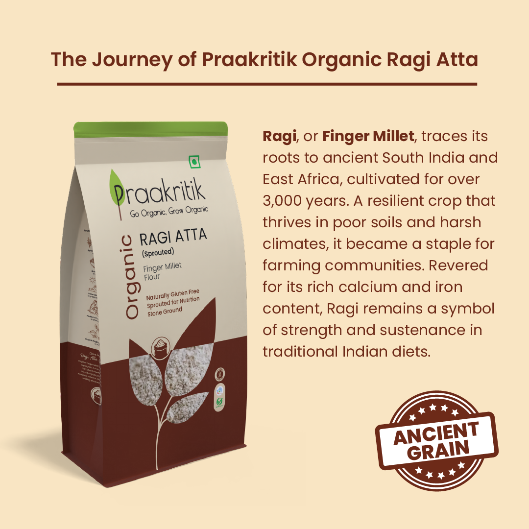 Sprouted Ragi Aata - Organic